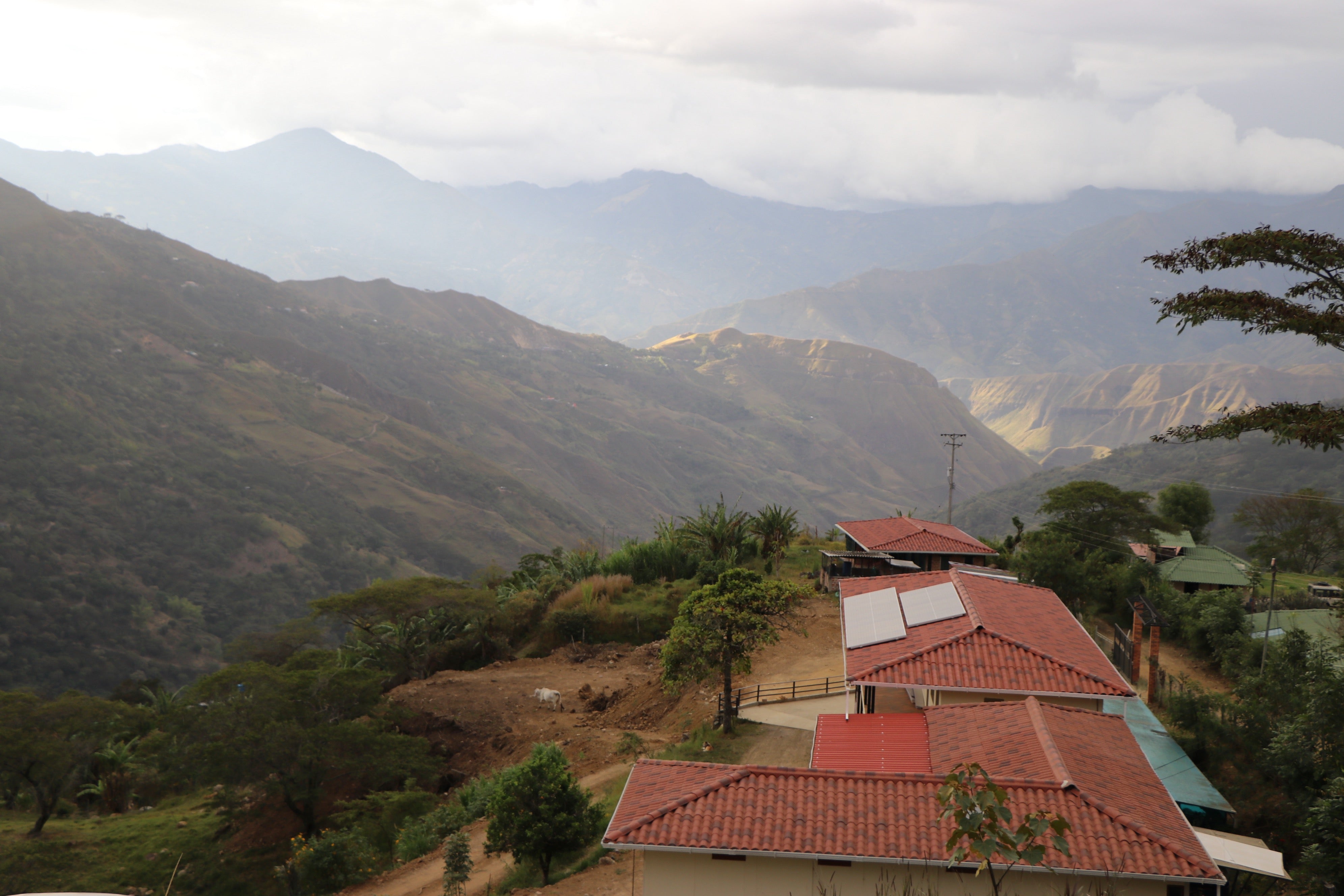 Solar Panels – Counter Culture Coffee