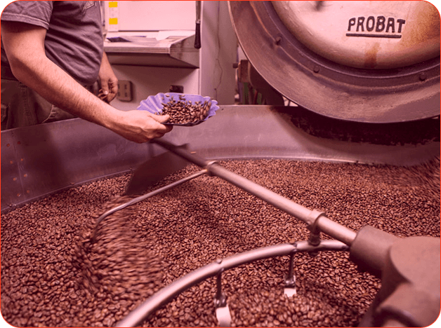 Probat Roaster