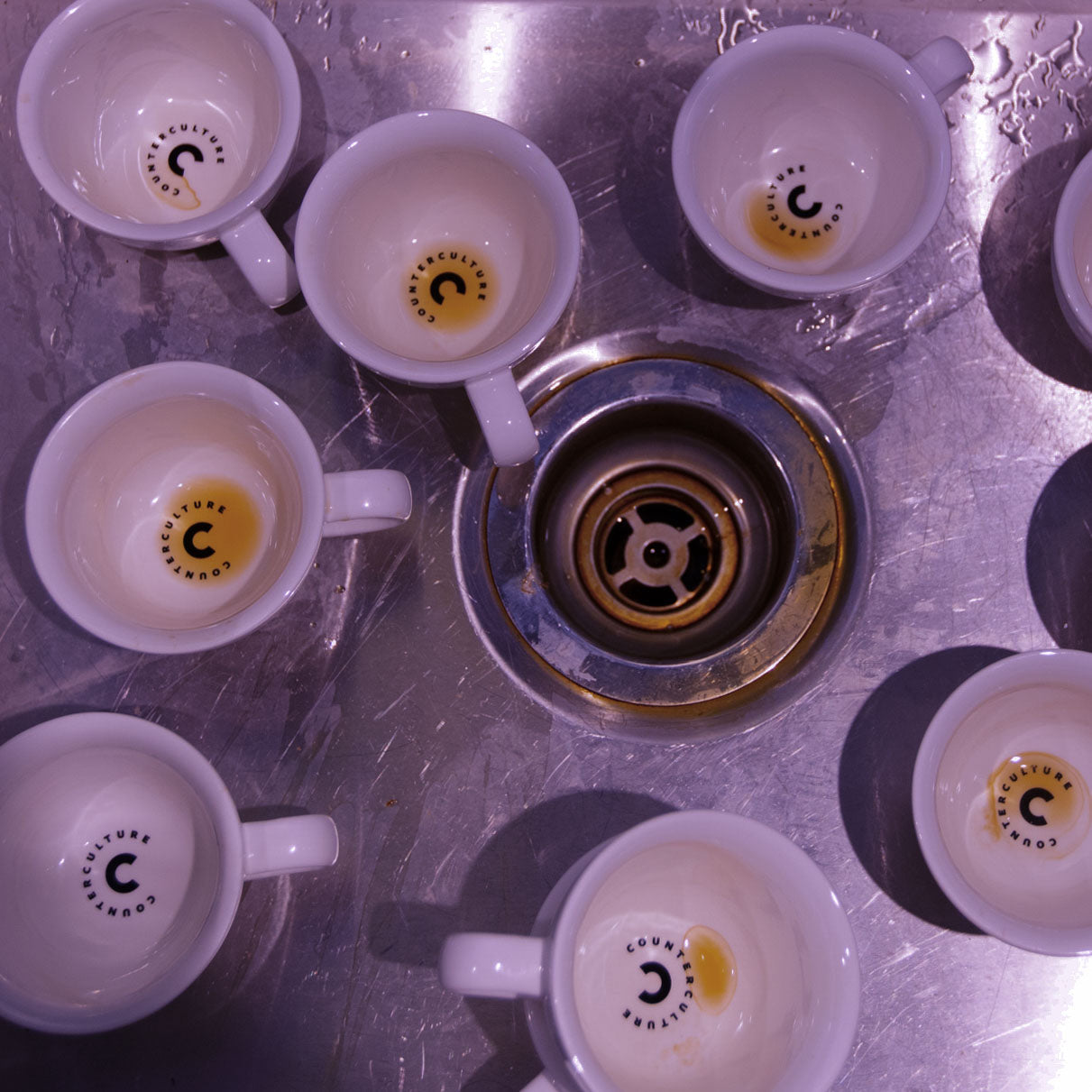 Coffees Tasted