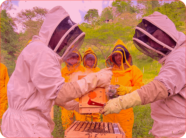 Seeds grant recipients