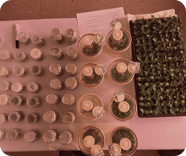 WCR Donation