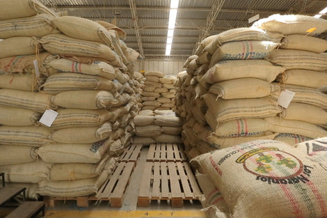 Photo of stacked burlap bags of coffee on palates in a warehouse. 