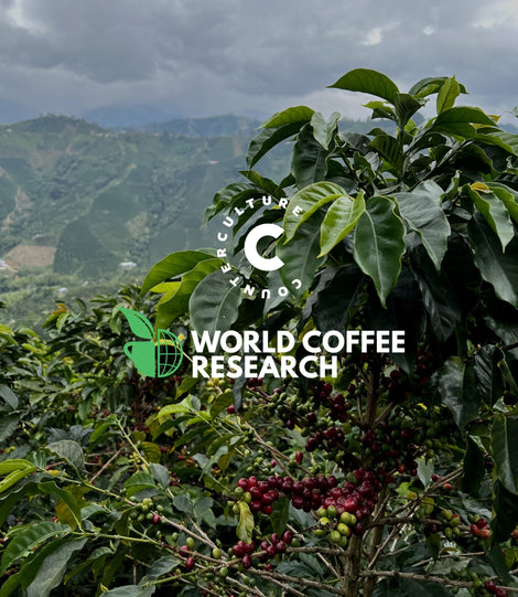 Counter Culture Coffee x World Coffee Research