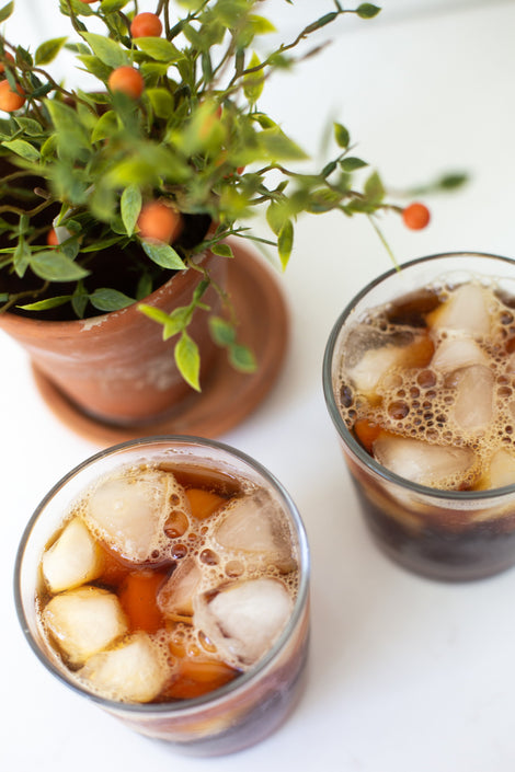 Photo of two glasses of iced cold brew coffee next to a potted plant.