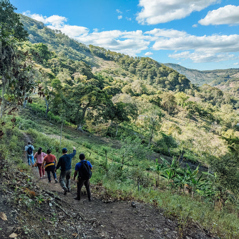 Biofactory and Training