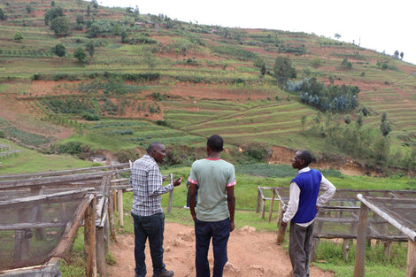Image at drying beds looking out towards the hills. In the foreground, you can see three men talking.