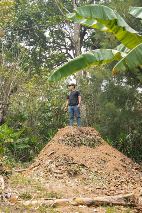 Photo of a person on a large mound of dirt from construction of compost structures.