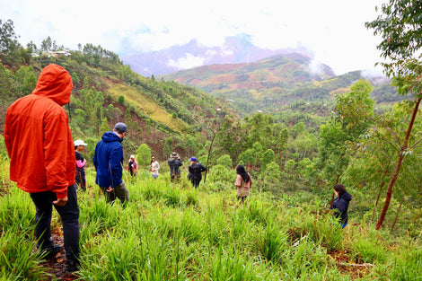 Origin Field Lab: Peru Trip Report 2024