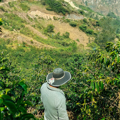 Post-Harvest Infrastructure