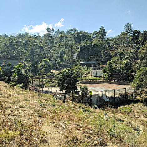 Efficient Cookstoves and Poultry Farms