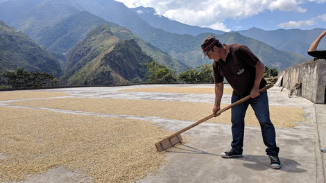 Demonstration Plots and Agronomy Training