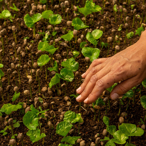 Leading the Way as a Proud B Corp