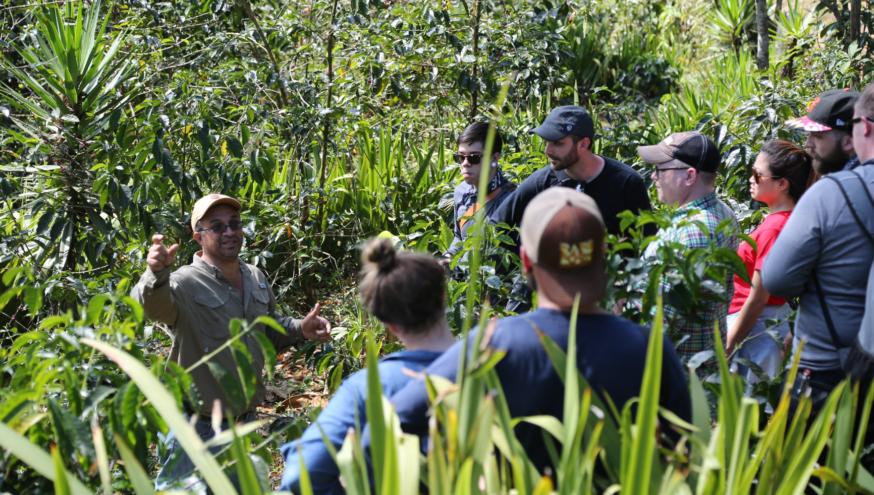 The Return of Origin Field Lab – Counter Culture Coffee