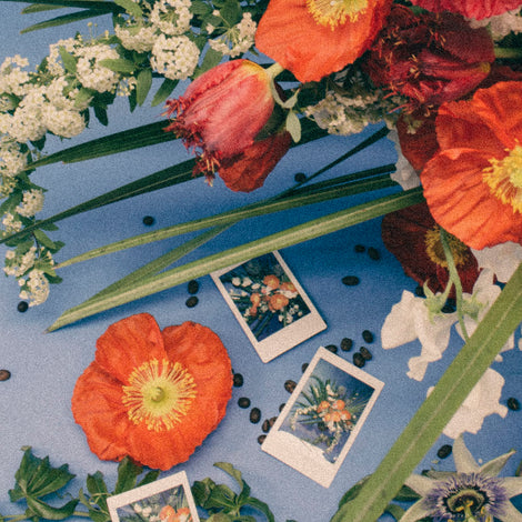 A Q&A with Whit Hazen