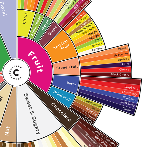 Coffee Taster’s Flavor Wheel