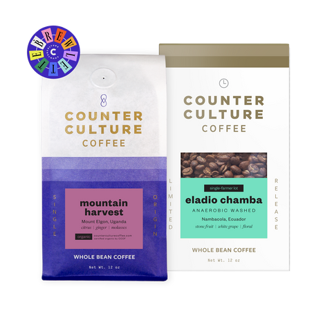 Brewlette Bundle
