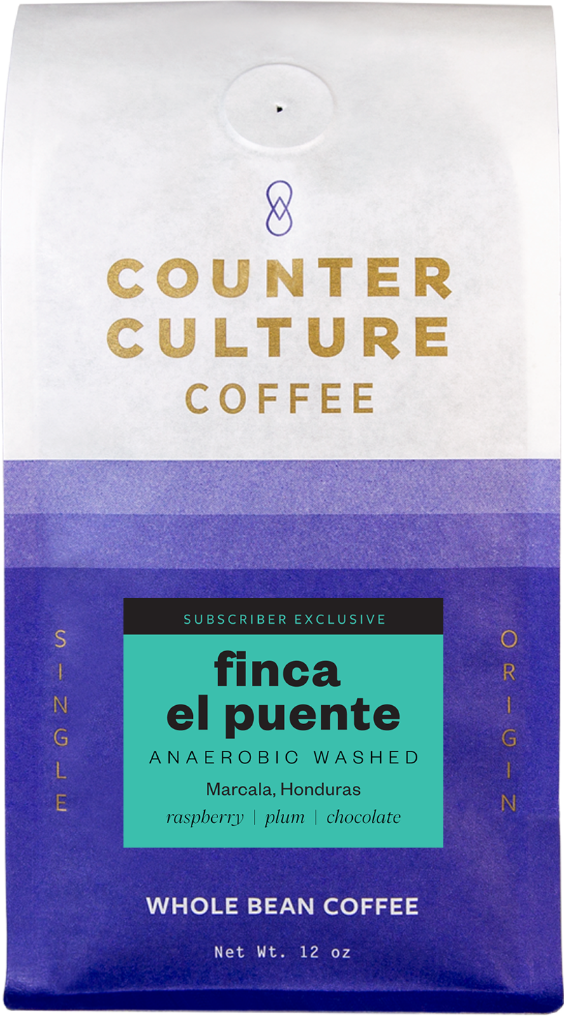 Finca El Puente – Anaerobic Washed