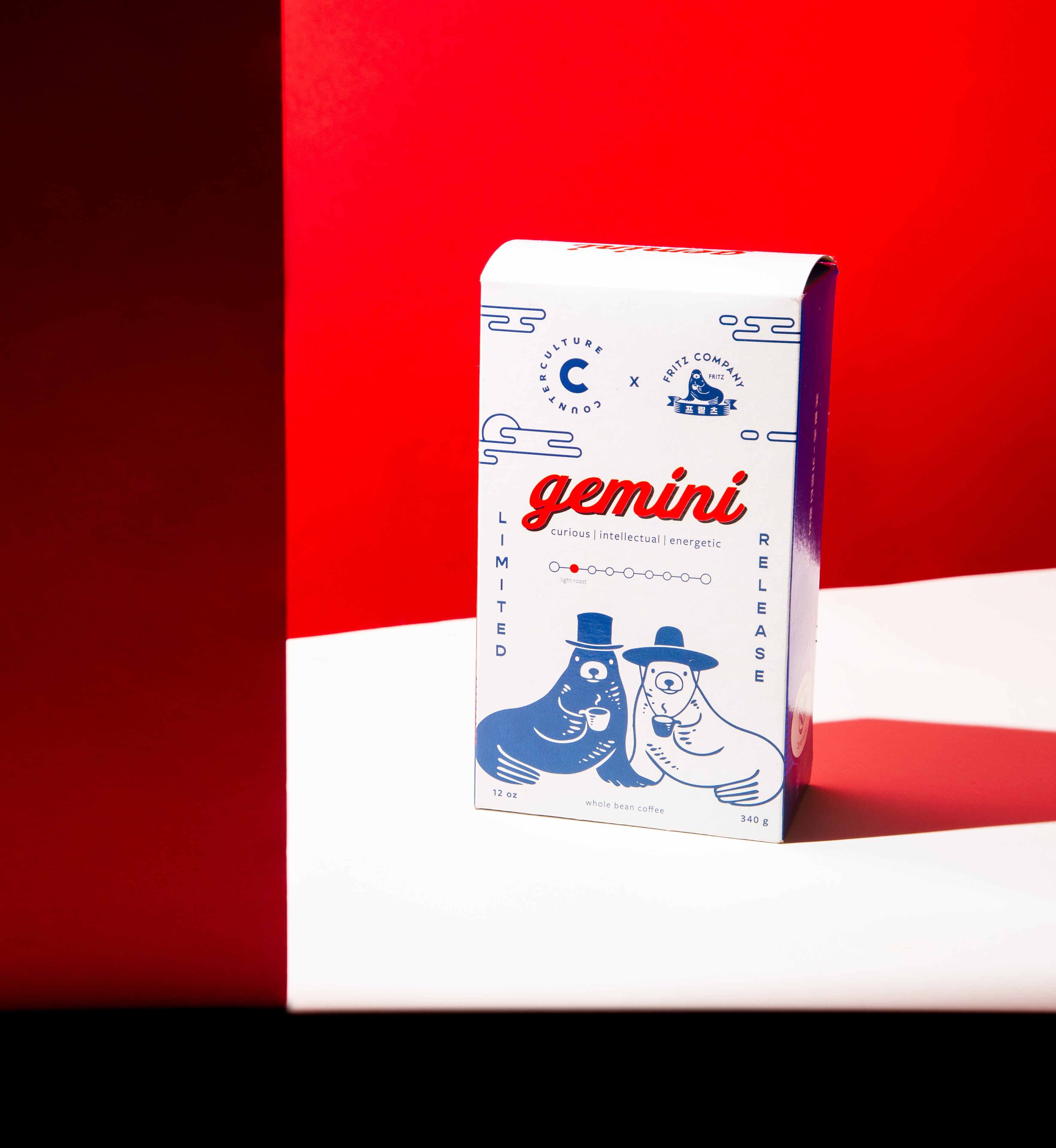 Photo of Gemini