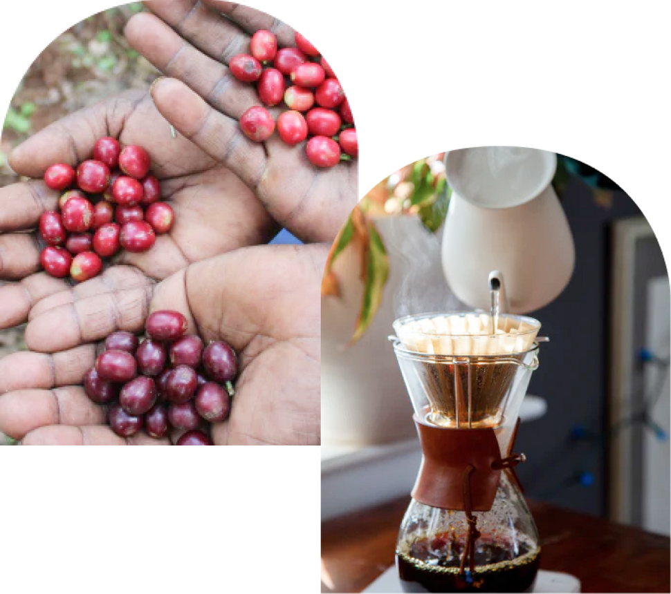 Counter Culture Coffee