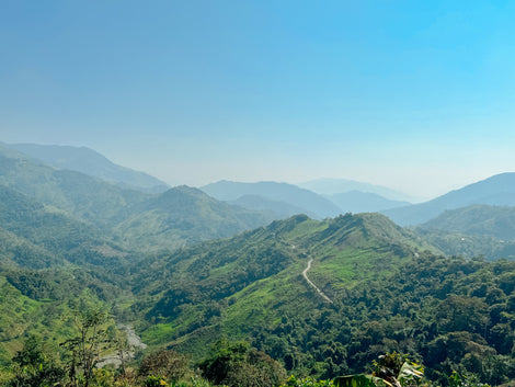 Fundochamba - Extended Fermentation