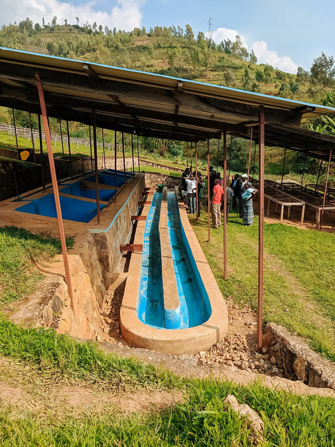 Intango Intango – Counter Culture Coffee