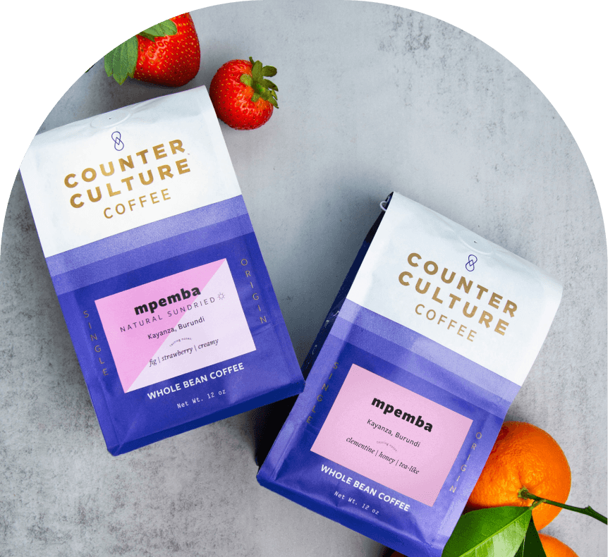 Two bags of Counter Culture Mpemba whole bean coffee with strawberries and oranges