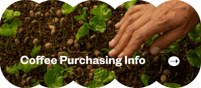 30th Anniversary Banner