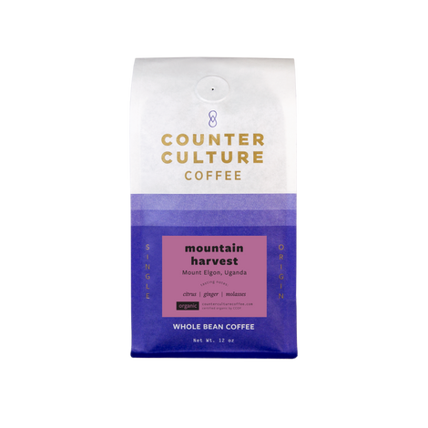product bg
