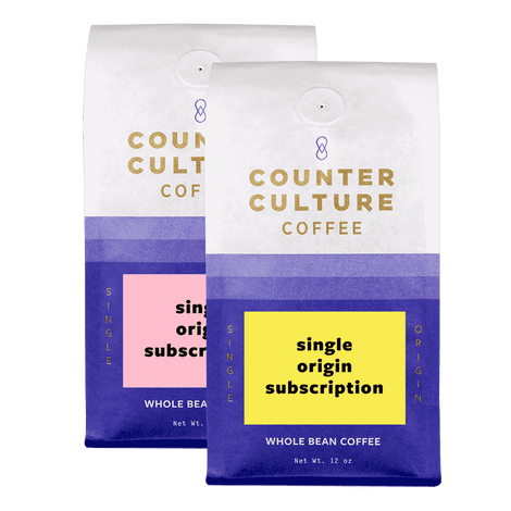 12 Month Gift Subscription