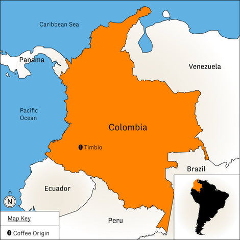 La Golondrina – Honey Processed