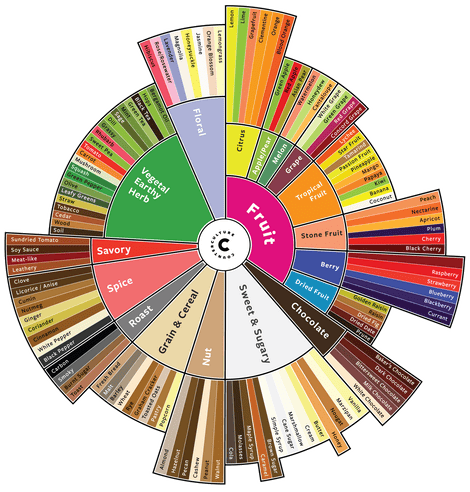 Coffee Flavor Wheel