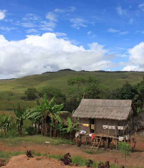 Single-Origin Subscription - One Bag