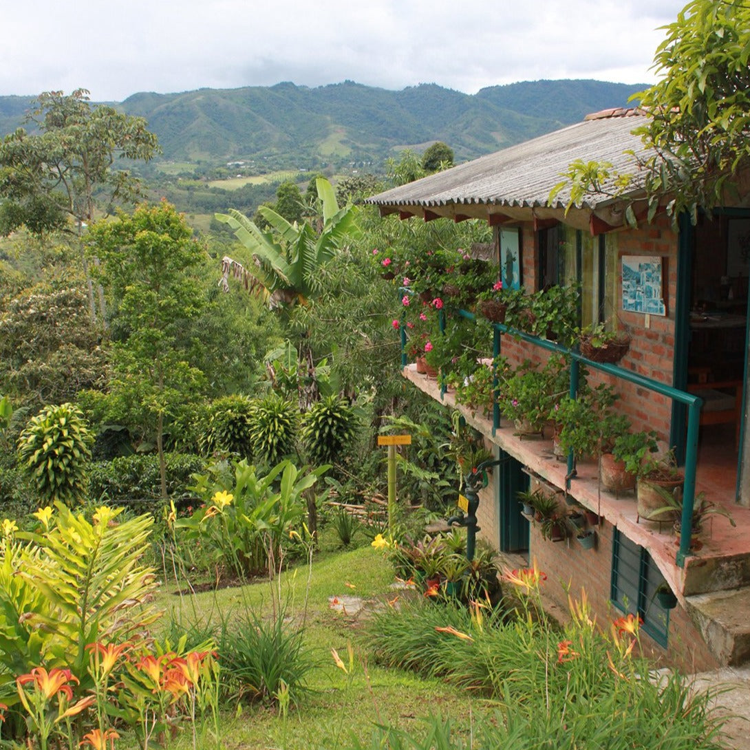 La Golondrina Counter Culture Coffee